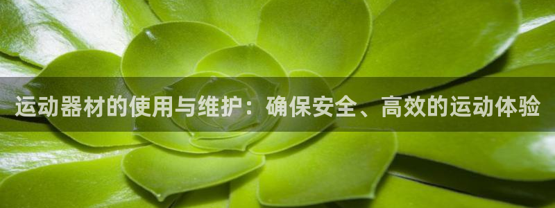 凯捷体育平台是正规平台吗：运动器材的使用与维护：确保