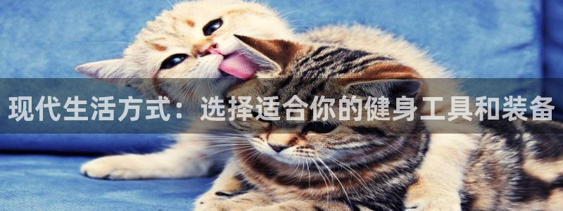 凯捷体育娱乐首页网站大全：现代生活方式：选择适合你的