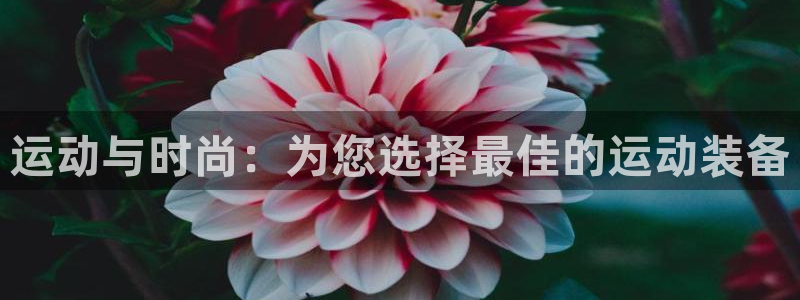 凯捷体育招商电话是多少：运动与时尚：为您选择最佳的运
