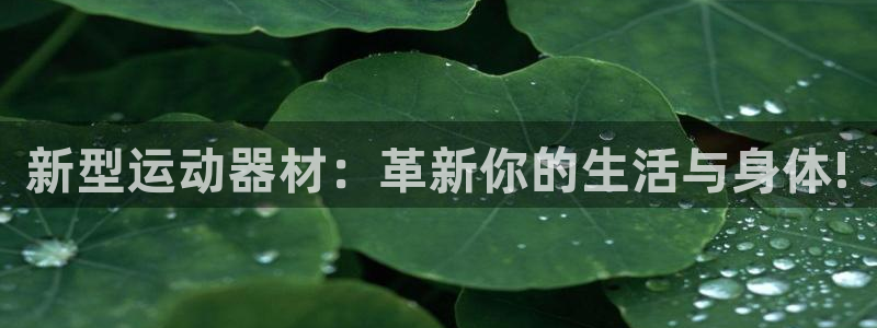 凯捷体育平台假的吗是真的吗吗：新型运动器材：革新你的