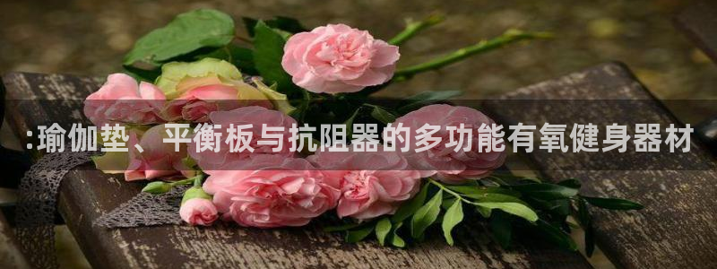 凯捷体育娱乐首页网站大全：:瑜伽垫、平衡板与抗阻器的