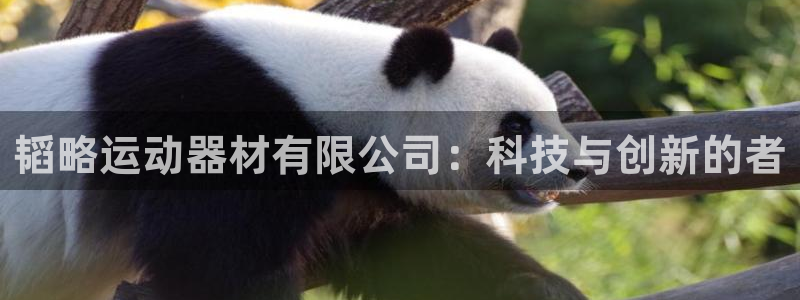 凯捷体育官方客服电话：韬略运动器材有限公司：科技与创