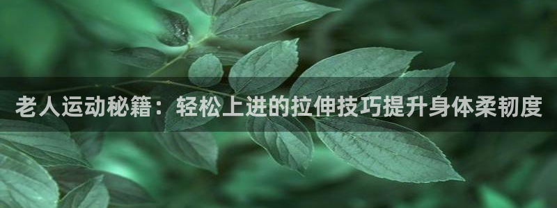 凯捷体育招商电话号码：老人运动秘籍：轻松上进的拉伸技巧提升身