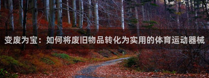 凯捷体育集团官网首页网址：变废为宝：如何将废旧物品转