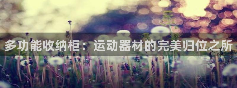 凯捷体育是干嘛的公司：多功能收纳柜：运动器材的完美归位之所
