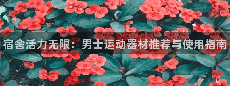 凯捷体育娱乐平台