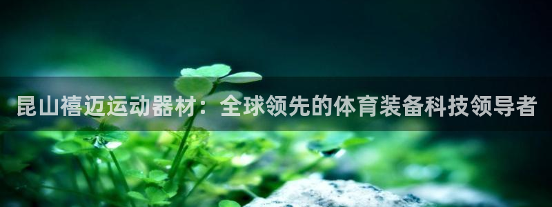 凯捷体育招商电话地址查询：昆山禧迈运动器材：全球领先