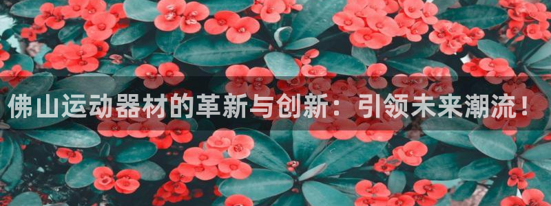 凯捷体育招商电话号码是多少啊：佛山运动器材的革新与创