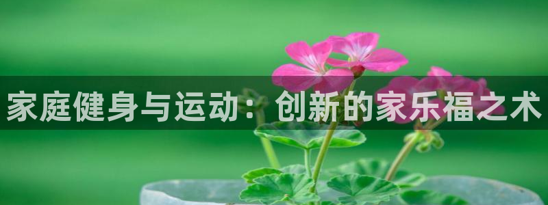 凯捷体育招商电话号码：家庭健身与运动：创新的家乐福之