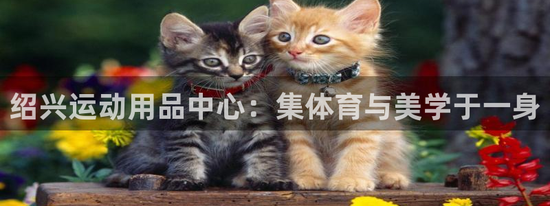 凯捷体育官方客服电话：绍兴运动用品中心：集体育与美学
