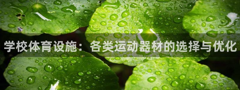 凯捷体育招商电话号码查询：学校体育设施：各类运动器材