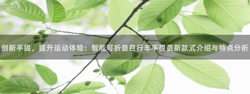 凯捷体育娱乐是那个系列的台子：创新手提，提升运动体验