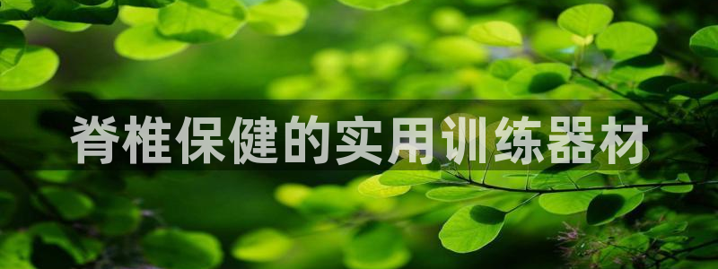 凯捷体育平台注册要钱吗：脊椎保健的实用训练器材