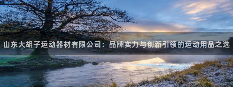 凯捷体育娱乐平台：山东大胡子运动器材有限公司：品牌实
