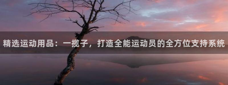 凯捷体育平台是正规平台吗安全吗：精选运动用品：一揽子