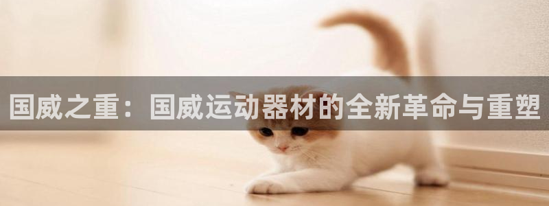 凯捷体育平台是正规平台吗安全吗：国威之重：国威运动器材的全新