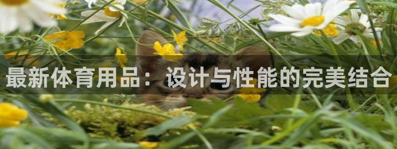 凯捷体育平台注册要钱吗安全吗：最新体育用品：设计与性