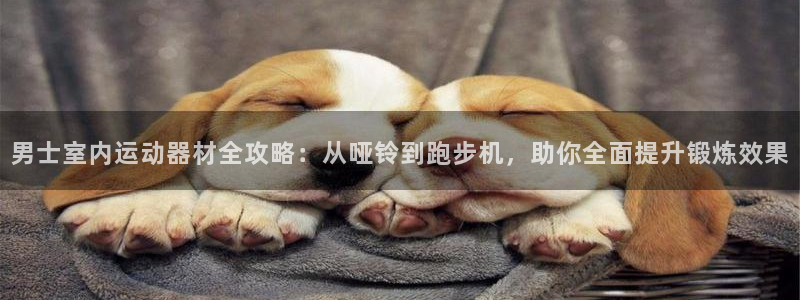 凯捷体育集团官网首页网址