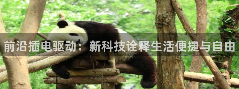 凯捷体育招商电话号码是多少：前沿插电驱动：新科技诠释