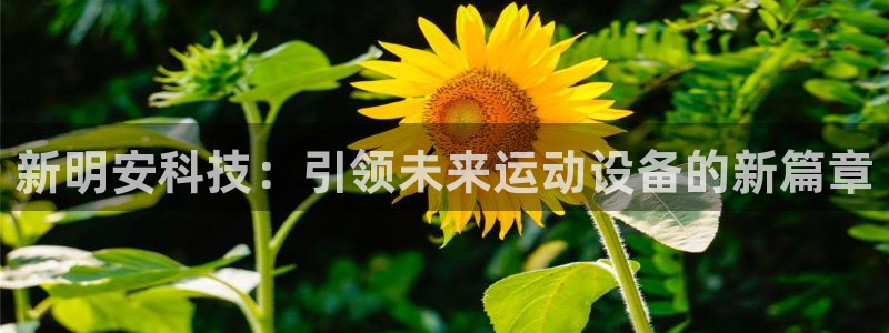 凯捷体育平台注册：新明安科技：引领未来运动设备的新篇