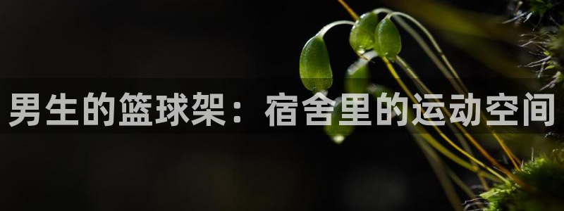 凯捷体育集团E.ON：男生的篮球架：宿舍里的运动空间