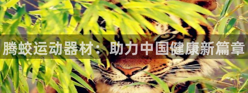 凯捷体育平台是正规平台吗安全吗：腾蛟运动器材：助力中