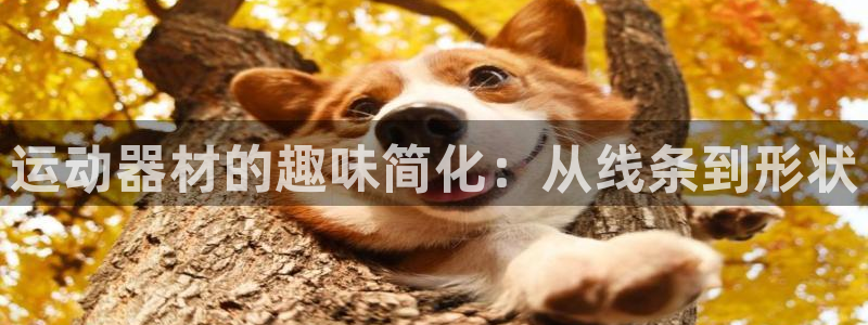 凯捷体育招商电话地址查询：运动器材的趣味简化：从线条