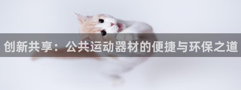 凯捷体育娱乐平台：创新共享：公共运动器材的便捷与环保