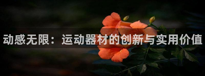 凯捷体育娱乐代理怎么样：动感无限：运动器材的创新与实用价值