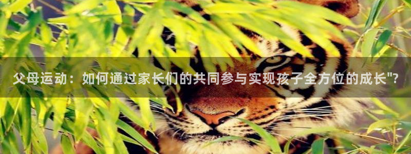 凯捷体育集团官网首页网址：父母运动：如何通过家长们的共同参与