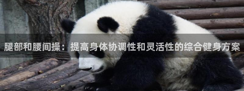 凯捷体育招商：腿部和腰间操：提高身体协调性和灵活性的综合健身
