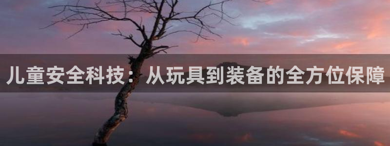 凯捷体育平台注册流程视频：儿童安全科技：从玩具到装备