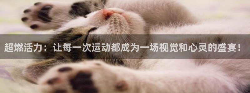 凯捷体育招商电话是多少号码：超燃活力：让每一次运动都成为一场