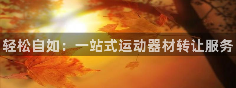 凯捷体育招商：轻松自如：一站式运动器材转让服务