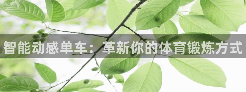 凯捷体育是干嘛的公司