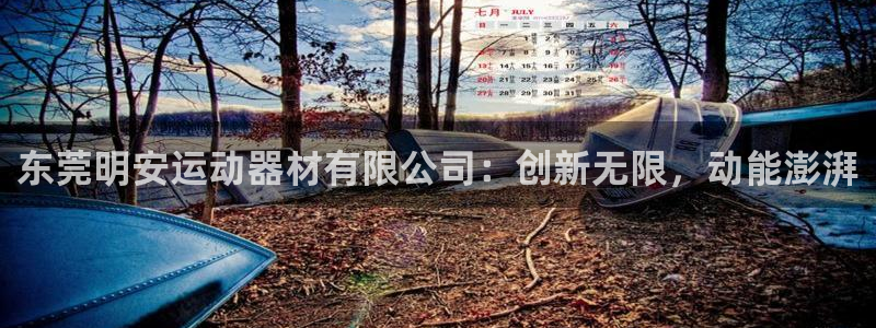 凯捷体育平台：东莞明安运动器材有限公司：创新无限，动
