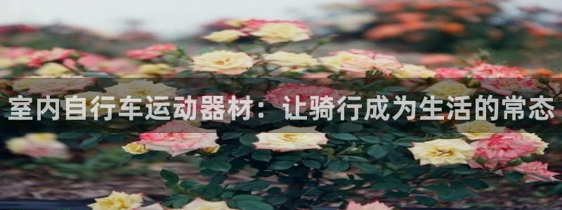 凯捷体育官网：室内自行车运动器材：让骑行成为生活的常