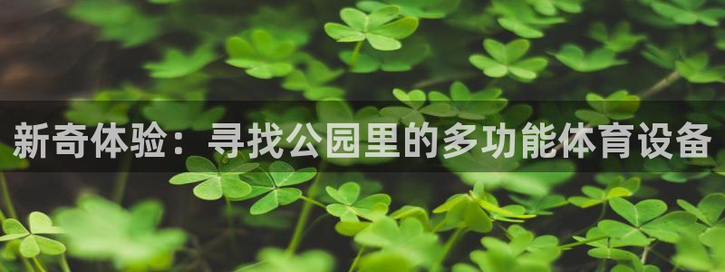 凯捷体育集团logo：新奇体验：寻找公园里的多功能体