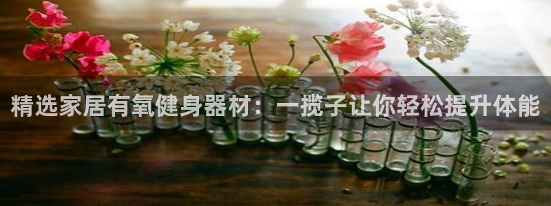凯捷体育招商电话号码是多少号：精选家居有氧健身器材：