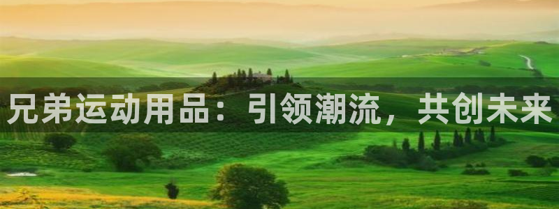 凯捷体育平台注册流程视频：兄弟运动用品：引领潮流，共