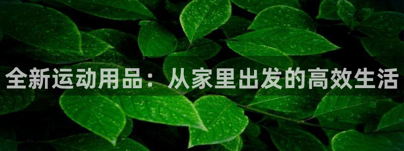凯捷体育招商电话是多少号码：全新运动用品：从家里出发