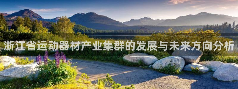 凯捷体育科技：浙江省运动器材产业集群的发展与未来方向分析