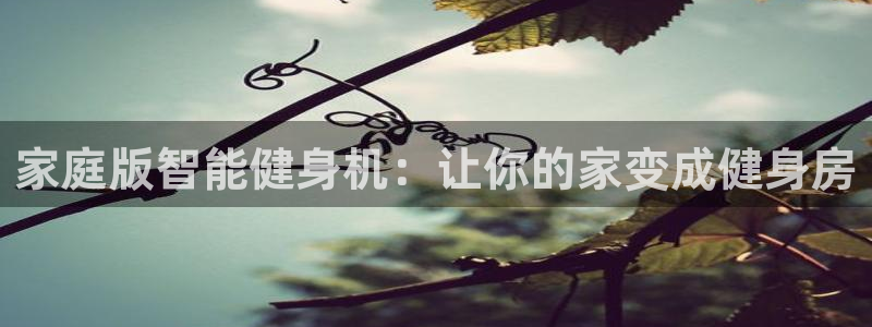 凯捷体育招商电话是多少号码