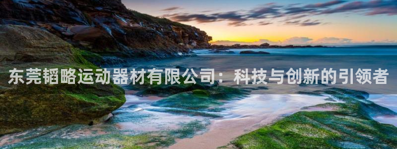 意昂平台体育：东莞韬略运动器材有限公司：科技与创新的