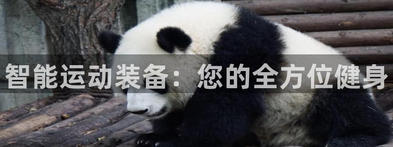 凯捷体育集团logo：智能运动装备：您的全方位健身