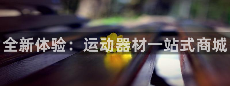 凯捷体育开户：全新体验：运动器材一站式商城