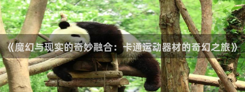 凯捷体育招商电话号码查询是多少：《魔幻与现实的奇妙融