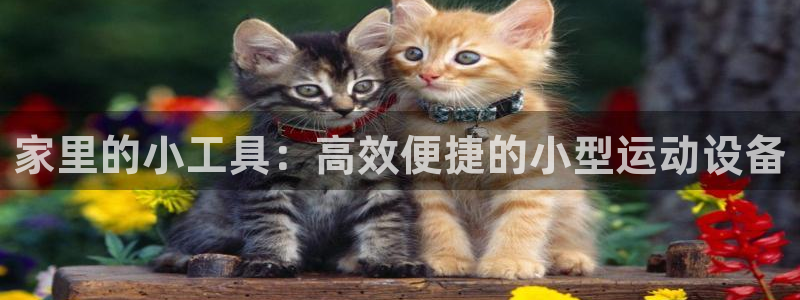 凯捷体育平台：家里的小工具：高效便捷的小型运动设备