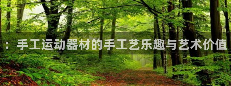 凯捷体育平台APP：：手工运动器材的手工艺乐趣与艺术价值
