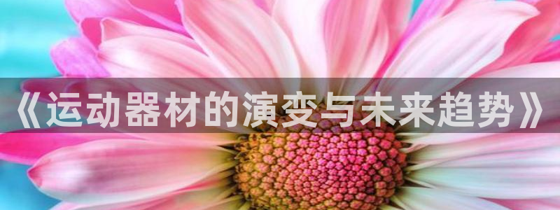 凯捷体育娱乐